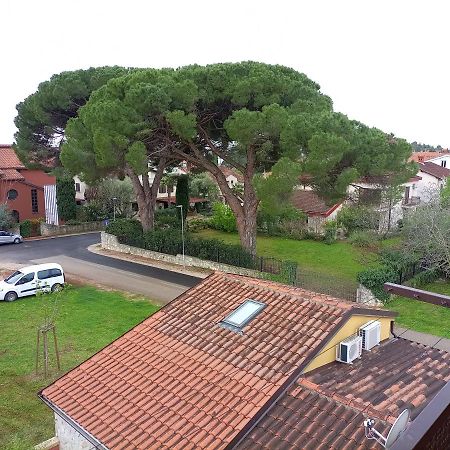 Apartments Ingrid Novigrad  Exterior photo