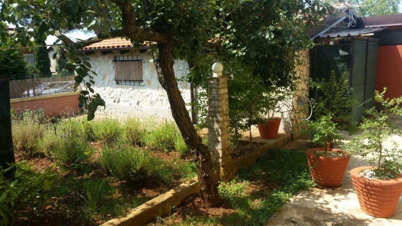 Apartments Ingrid Novigrad  Exterior photo